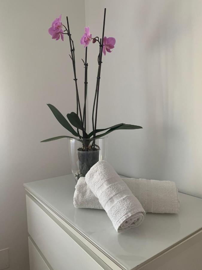 Rua Dos Concheiros, 7 Apartamento Santiago de Compostela Zewnętrze zdjęcie